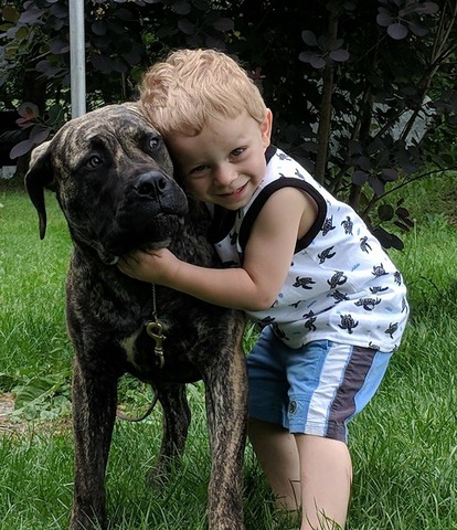 Lucy at 9 months and  my grandson Carter who is 2years old