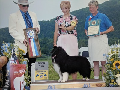 Coal Going Best In Show!